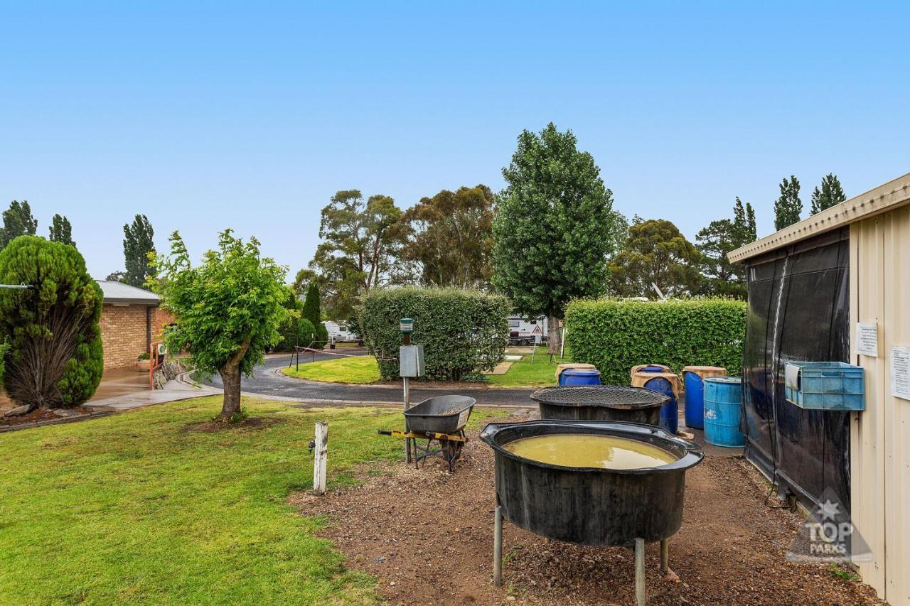 Fossicker Caravan Park Glen Innes Eksteriør billede